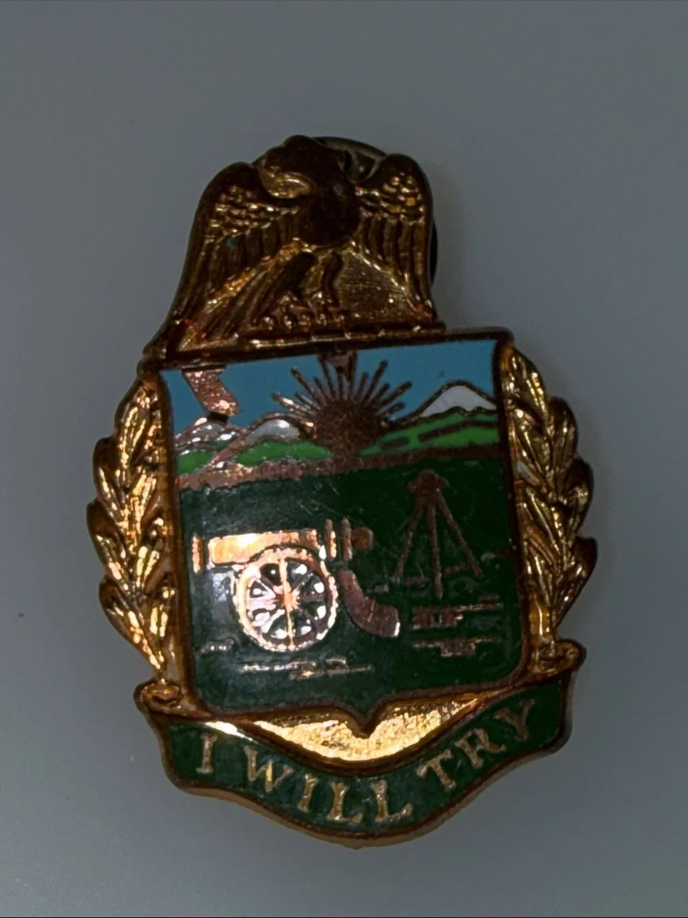 Vintage Enamel Military style Crest Pin eagle Green and Blue Shield enamel